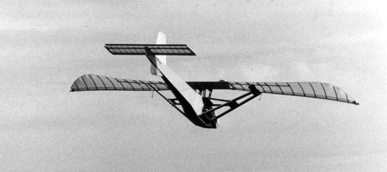 An ornithopter model in flight.